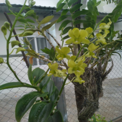 Phòng trọ gần hồ bơi quốc Hùng
