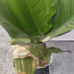 🎆3TẦNG MT 10M5 CAO HỒNG LÃNH❤💚💙