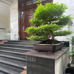 CHO THUÊ BIỆT THỰ HIM LAM HẨM TRỆT 3 LẦU, 5PN FULL NT 75 TRIỆU/ THÁNG