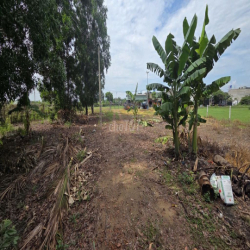 CHÍNH CHỦ CHO THUÊ ĐẤT TRỐNG 2000m² - VĨNH LỘC, TP.HCM