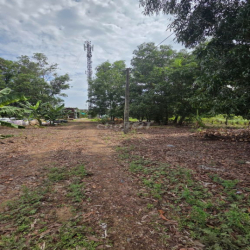 CHÍNH CHỦ CHO THUÊ ĐẤT TRỐNG 2000m² - VĨNH LỘC, TP.HCM