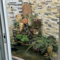 cho thuê nhà nguyên căn gần chợ đầu mối thủ đức