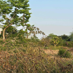 🎉HIẾM HỘI AN, 500M2, MẶT TIỀN ĐỒNG NÀ 1 CHỈ 7.1 TỶ.