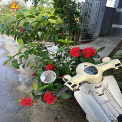 🎉HIẾM HỘI AN, 500M2, MẶT TIỀN ĐỒNG NÀ 1 CHỈ 7.1 TỶ.