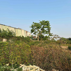 🎉HIẾM HỘI AN, 500M2, MẶT TIỀN ĐỒNG NÀ 1 CHỈ 7.1 TỶ.