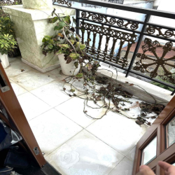 CHO THUÊ TOÀ NHÀ LÀM CHDV 5*25m 6LẦU  HXT PHẠM VĂN BẠcH