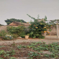 Cho thuê