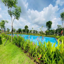 Mât bằng Kinh Doanh 2 Mặt Tiền