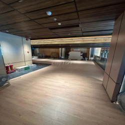 MẶT TIỀN NGUYỄN SƠN, TÂN PHÚ – NGANG 8M, DIỆN TÍCH LỚN