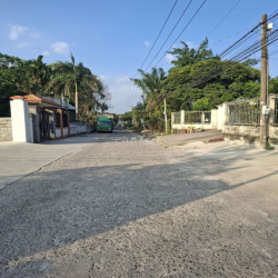 Cho Thuê Xưởng Long Đức, Thành Long