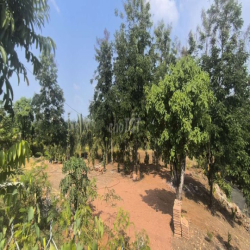 cho thuê 900m2  đất mặt tiền 20m đường  Y Wang gần  cổng chào  Eakao