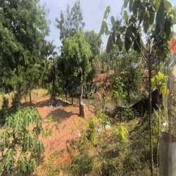 cho thuê 900m2  đất mặt tiền 20m đường  Y Wang gần  cổng chào  Eakao