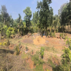 cho thuê 900m2  đất mặt tiền 20m đường  Y Wang gần  cổng chào  Eakao