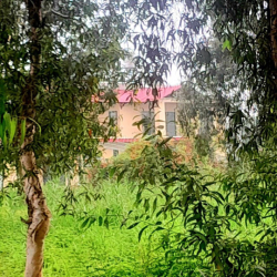 Nhà biệt thự vườn cho thuê