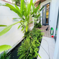 CHO THUÊ BIỆT THỰ 2 MẶT TIỀN: ĐƯỜNG NGUYỄN SƠN - 5 PHÒNG - 5 WC