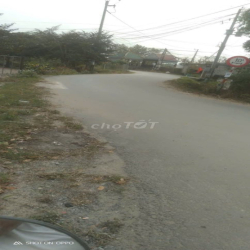 ĐẤT ĐẸP CHO THUÊ – CHỈ 1,5TR/THÁNG, GIÁ ĐÃ RẺ!