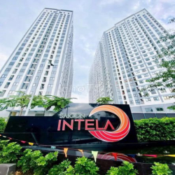cho thuê căn hộ 2pn Sài Gòn Intela Bình Chánh