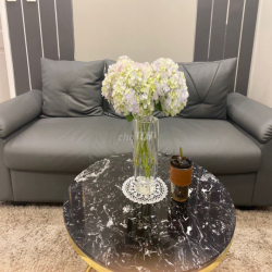 Cho thuê căn hộ Topaz Elite 2pn2wc