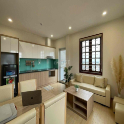 Cho thuê căn hộ 1 phòng ngủ mới khai trương ngay trung tâm q1 sát Q3