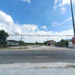 Cho thuê đất thổ cư 5000m² mặt tiền QL80 – Gần KCN Cái Tàu Hạ
