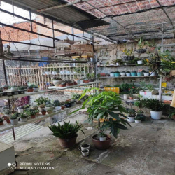 [Chính chủ] cho thuê nhà mặt tiền đường Hai Bà Trưng, P6, Đà lạt