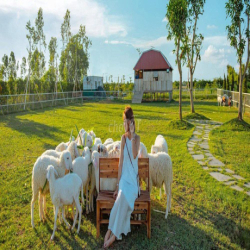 Cần thuê đất >3000m² làm farm ở TPHCM (ưu tiên có thổ cư)