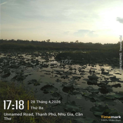 Cho Thuê Đất Trồng Sen