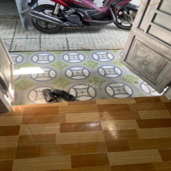 Cho thuê nhà nhỏ xã Đông Thạnh Hóc Môn