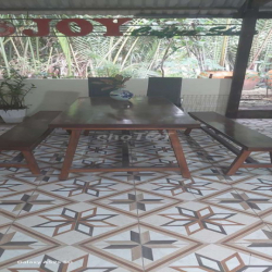 Cho thuê quán cafe sân vườn tại Bình Hưng, Bình Chánh