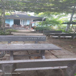 Cho thuê quán cafe sân vườn tại Bình Hưng, Bình Chánh