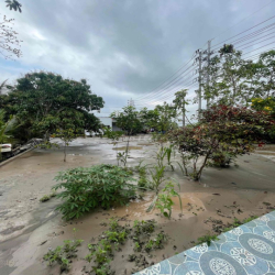 cho thuê đất đã bơm nền