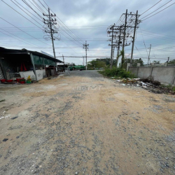 cho thuê đất đã bơm nền