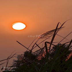 Phòng cho thuê ở tháng lâu dài
