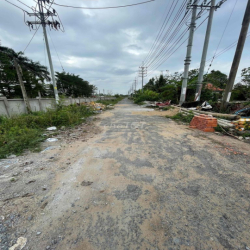 cho thuê đất đã bơm nền