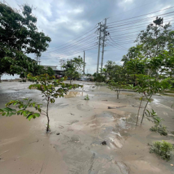 cho thuê đất đã bơm nền