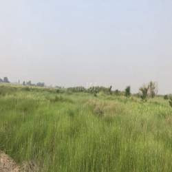 CHO THUÊ ĐẤT CHÍNH CHỦ 5000m² TÂN THẠNH ĐÔNG, CỦ CHI  GIÁ CỰC RẺ