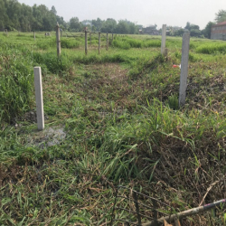 CHO THUÊ ĐẤT CHÍNH CHỦ 5000m² TÂN THẠNH ĐÔNG, CỦ CHI  GIÁ CỰC RẺ