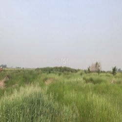 CHO THUÊ ĐẤT CHÍNH CHỦ 5000m² TÂN THẠNH ĐÔNG, CỦ CHI  GIÁ CỰC RẺ