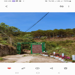 cho thuê nhà ở hoặc kinh doanh