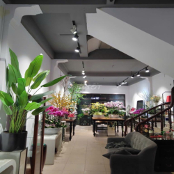 Mặt Bằng Kinh Doanh/VP ở Đống Đa, Hà Nội, ví trí trung tâm, 45tr