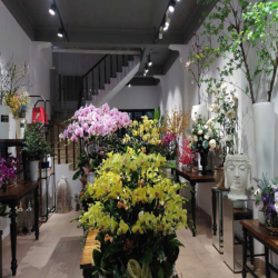 Mặt Bằng Kinh Doanh/VP ở Đống Đa, Hà Nội, ví trí trung tâm, 45tr