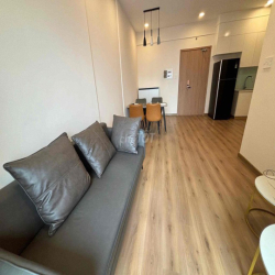 Căn hộ cạnh phú mỹ hưng gần Cresentmall, TDTU, RMIT, trục Ng Lươg Bằng