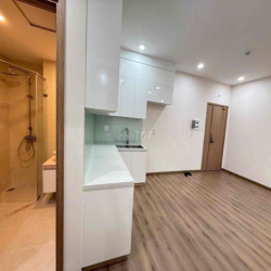 Căn hộ cạnh phú mỹ hưng gần Cresentmall, TDTU, RMIT, trục Ng Lươg Bằng