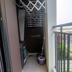 cho thuê chung cư khu vực Cát Lái