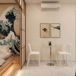 CĂN HỘ 1PN- BẾP TÁCH- MÁY GIẶT RIÊNG NGAY LẠC LONG QUÂN