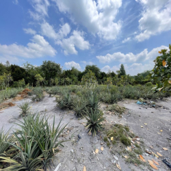 CHO THUÊ ĐẤT VƯỜN CỦ CHI 10.000m2 CÓ SẴN NHÀ XƯỞNG VÀ NHÀ GỖ