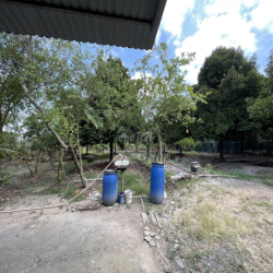 CHO THUÊ ĐẤT VƯỜN CỦ CHI 10.000m2 CÓ SẴN NHÀ XƯỞNG VÀ NHÀ GỖ