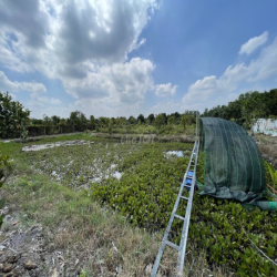 CHO THUÊ ĐẤT VƯỜN CỦ CHI 10.000m2 CÓ SẴN NHÀ XƯỞNG VÀ NHÀ GỖ