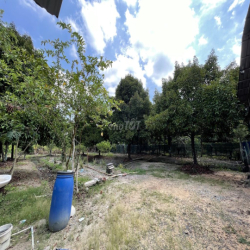 CHO THUÊ ĐẤT VƯỜN CỦ CHI 10.000m2 CÓ SẴN NHÀ XƯỞNG VÀ NHÀ GỖ