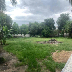 cho thuê đất mặt tiền đường Phú Thuận